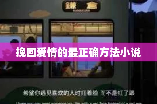 挽回爱情的最正确方法小说