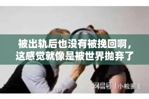 被出轨后也没有被挽回啊，这感觉就像是被世界抛弃了一样。我曾经也经历过这样的事情，那种心如刀割的痛，至今仍记忆犹新。今天，我想和大家聊聊这个话题，希望能给那些正在经历或者曾经经历过类似痛苦的人一些安慰和帮助。