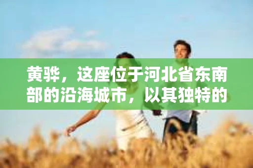 黄骅，这座位于河北省东南部的沿海城市，以其独特的地理位置和丰富的历史文化而闻名。然而，在这座城市中，还有一群人，他们以另一种方式默默守护着社会的公平与正义——私家侦探。今天，我们就来聊聊黄骅的私家侦探，看看他们是如何在这个城市中发挥作用的。