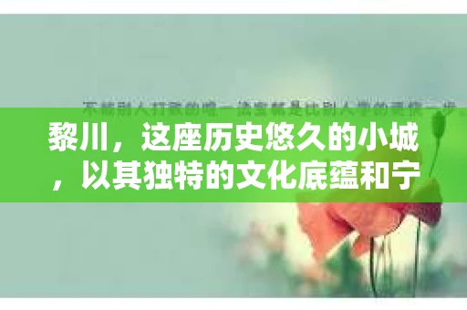 黎川，这座历史悠久的小城，以其独特的文化底蕴和宁静的生活节奏吸引着无数游客。然而，在这样一个看似平静的城市里，你是否会好奇，有没有私家侦探机构的存在呢？今天，就让我带你一探究竟。