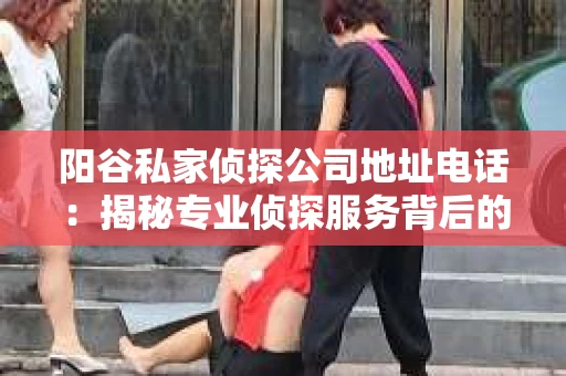阳谷私家侦探公司地址电话：揭秘专业侦探服务背后的故事