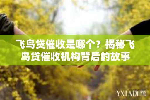 飞鸟贷催收是哪个？揭秘飞鸟贷催收机构背后的故事
