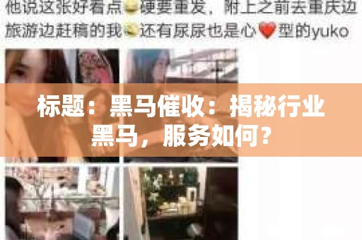 标题：黑马催收：揭秘行业黑马，服务如何？