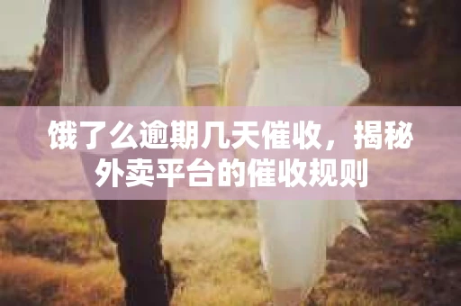 饿了么逾期几天催收，揭秘外卖平台的催收规则