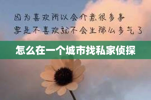 怎么在一个城市找私家侦探