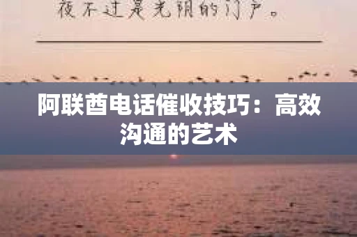 阿联酋电话催收技巧：高效沟通的艺术