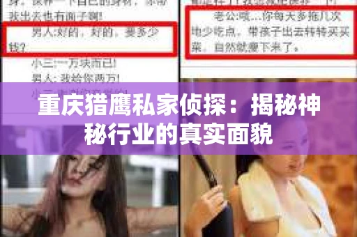 重庆猎鹰私家侦探：揭秘神秘行业的真实面貌