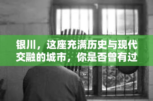 银川，这座充满历史与现代交融的城市，你是否曾有过这样的疑问：银川有私家侦探公司吗？今天，就让我带你一起揭开这个谜团。