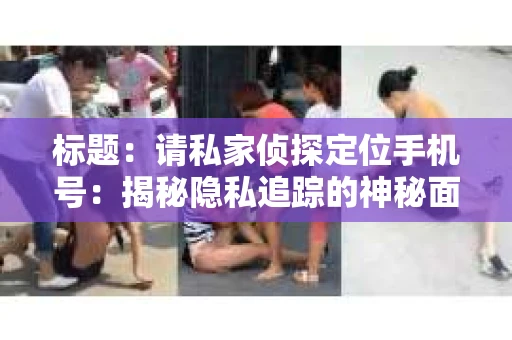 标题：请私家侦探定位手机号：揭秘隐私追踪的神秘面纱