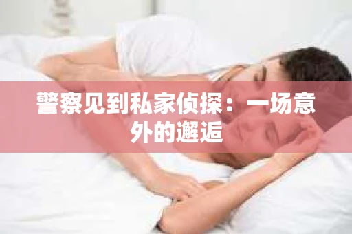 警察见到私家侦探：一场意外的邂逅