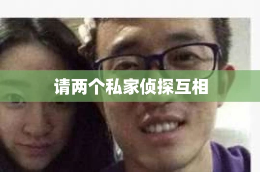 请两个私家侦探互相