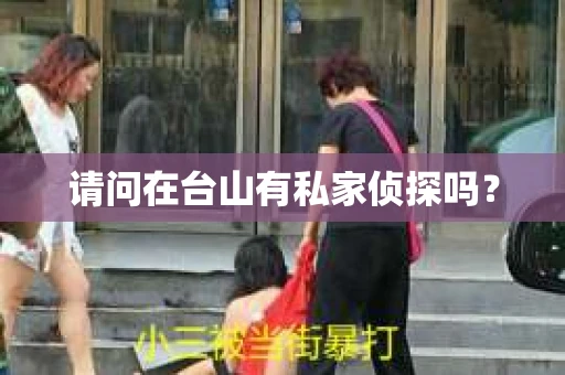 请问在台山有私家侦探吗？