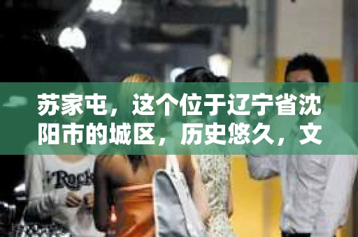 苏家屯，这个位于辽宁省沈阳市的城区，历史悠久，文化底蕴深厚。近年来，随着社会的发展，人们对于私家侦探的需求也逐渐增加。那么，苏家屯有私家侦探吗？今天，我们就来聊聊这个话题。