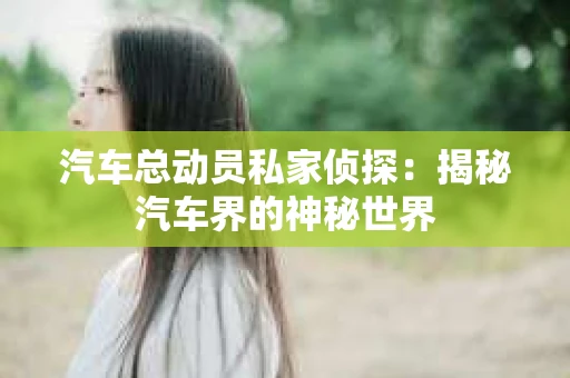 汽车总动员私家侦探：揭秘汽车界的神秘世界
