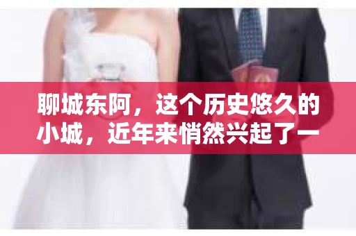 聊城东阿，这个历史悠久的小城，近年来悄然兴起了一股新的服务潮流——私家侦探。今天，我们就来聊聊这个话题，看看在聊城东阿，私家侦探是如何成为人们生活中的一部分的。