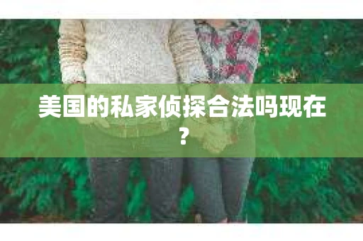 美国的私家侦探合法吗现在？
