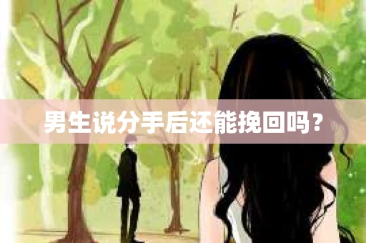 男生说分手后还能挽回吗? 男生说分手后还能挽回吗?