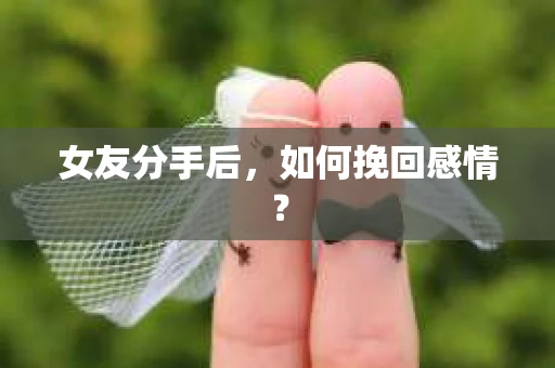 女友分手后，如何挽回感情？