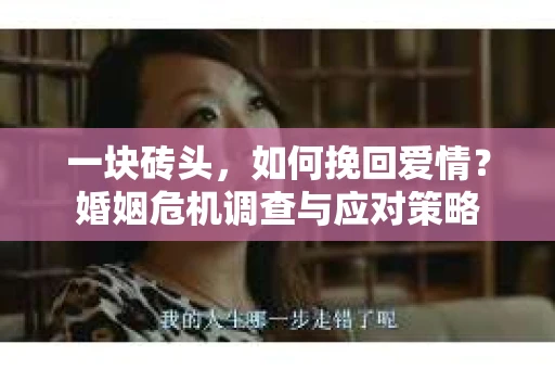 一块砖头，如何挽回爱情？婚姻危机调查与应对策略