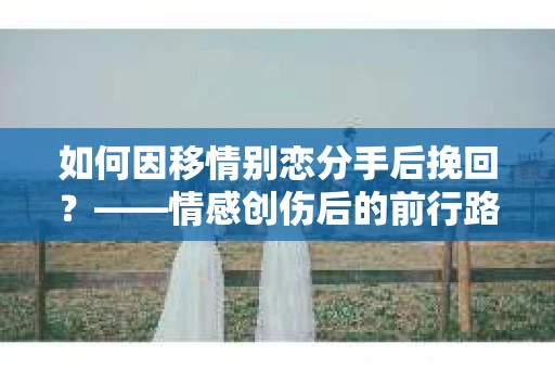 如何因移情别恋分手后挽回？——情感创伤后的前行路线图