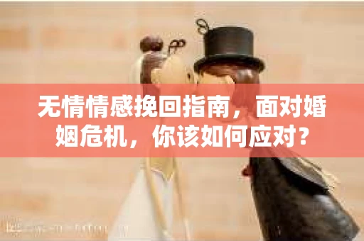 无情情感挽回指南,面对婚姻危机,你该如何应对? 无情情感挽回指南,面对婚姻危机,你该如何应对?