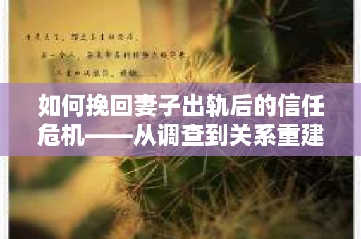 如何挽回妻子出轨后的信任危机——从调查到关系重建的全方位指南