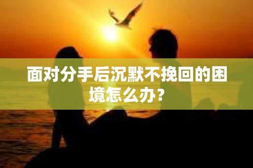 面对分手后沉默不挽回的困境怎么办? 面对分手后沉默不挽回的困境怎么办?